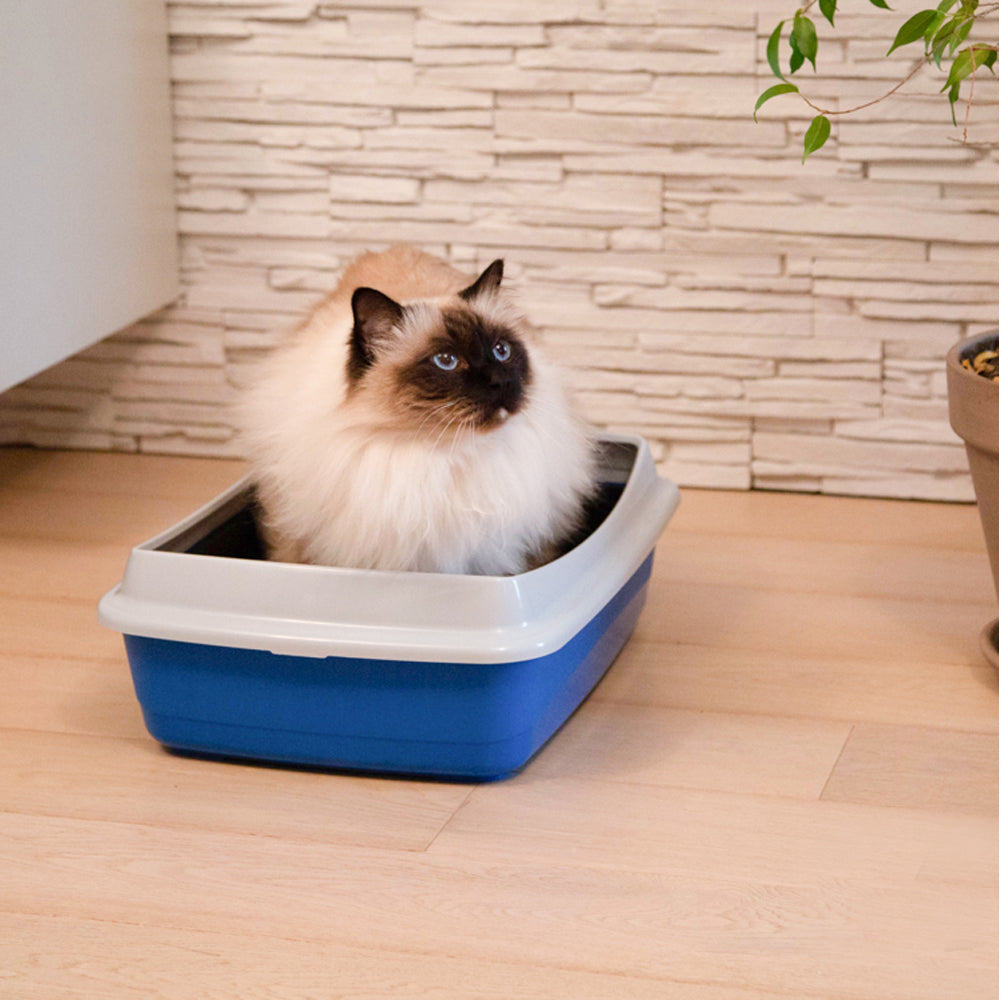 Toilette per gatti con bordo lettiera con cornic