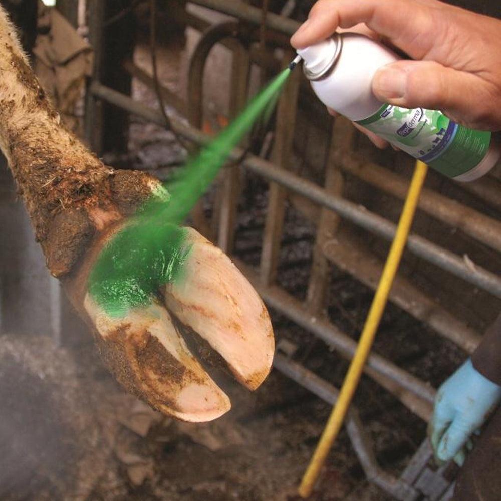 Spray per la cura della pelle e dello zoccolo IntraRepiderma