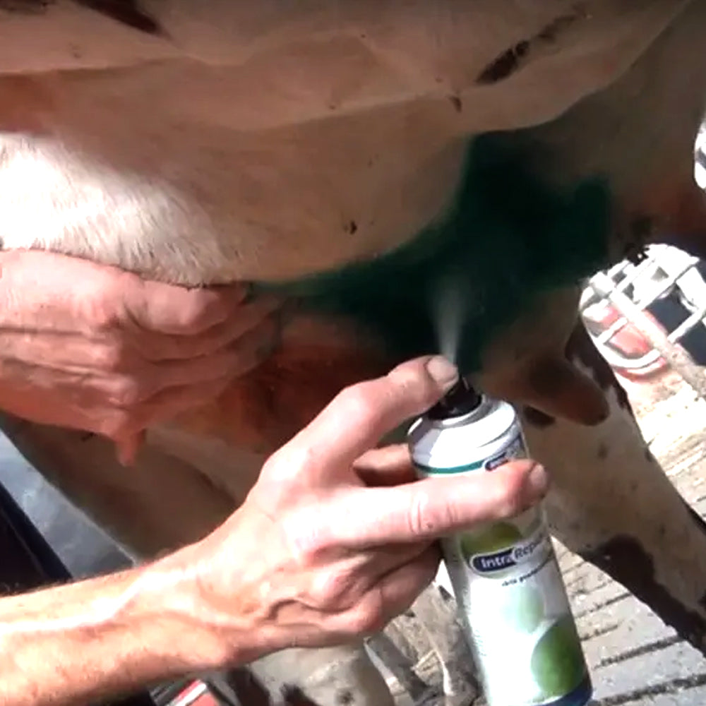 Spray per la cura della pelle e dello zoccolo IntraRepiderma