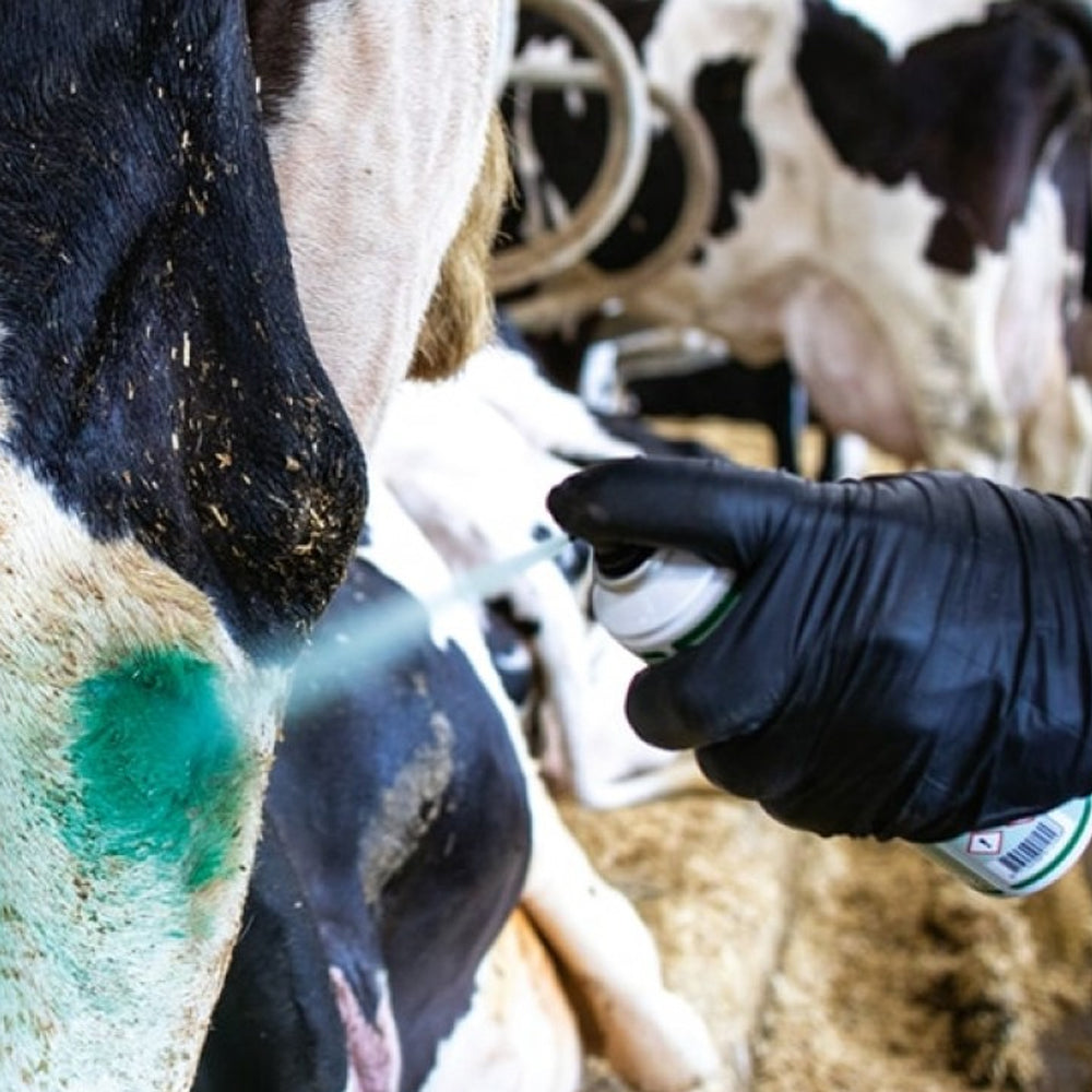 Spray per la cura della pelle e dello zoccolo IntraRepiderma
