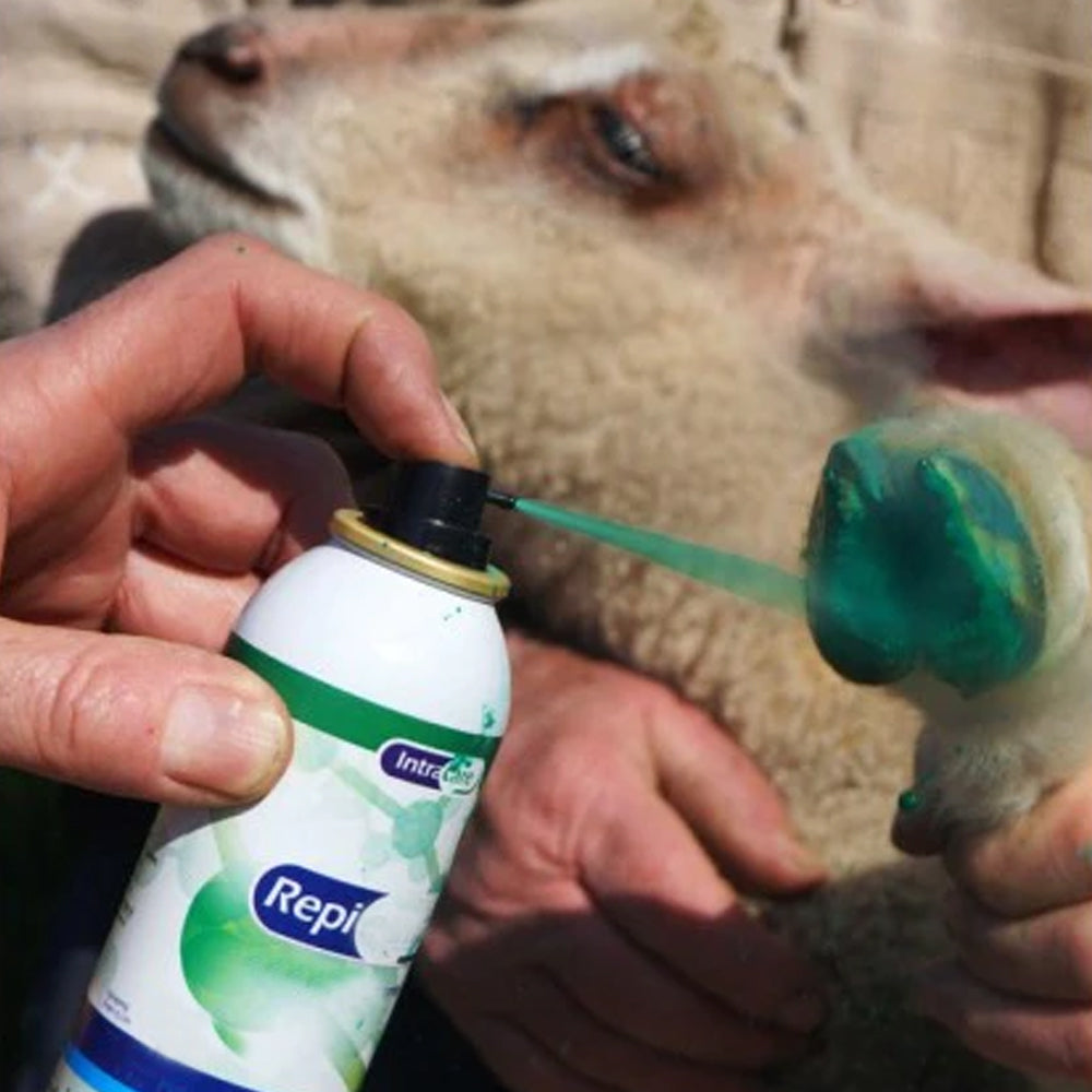 Spray per la cura della pelle e dello zoccolo IntraRepiderma