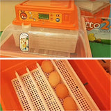Incubatrice d’uova Covatutto 24 Digital - Tecnologia Avanzata per una Cova Precisa