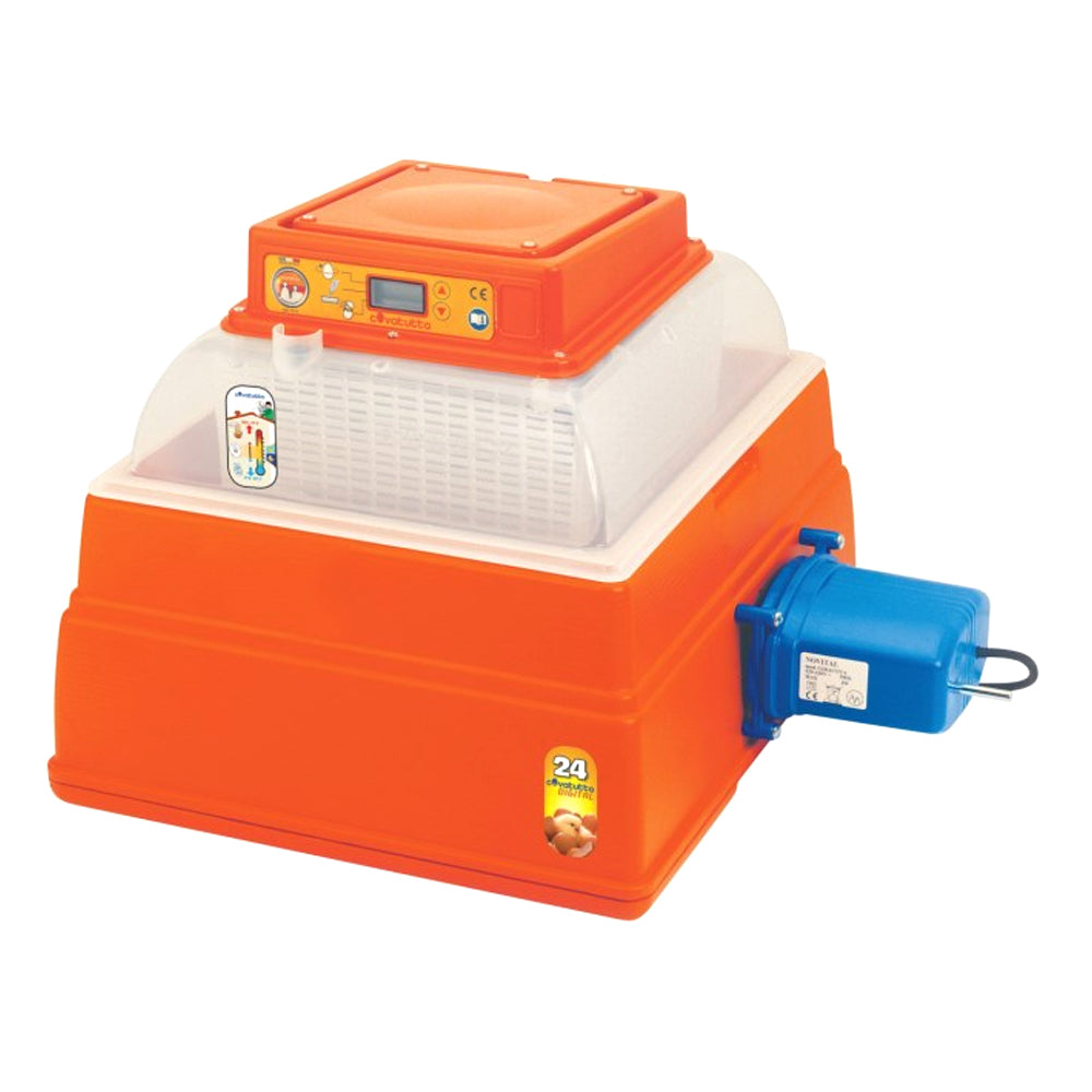 Covatutto 24 Digital