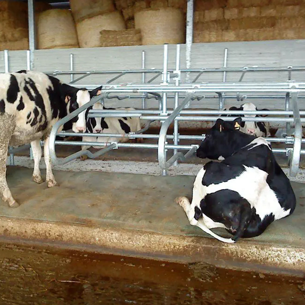 Supporto per cuccetta Universale per bovini giovani