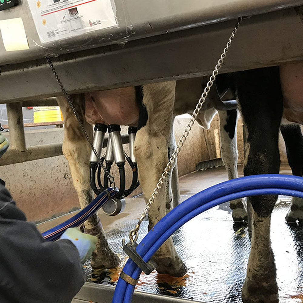 Guaina di Mungitura per Tubi di Miele 180mm