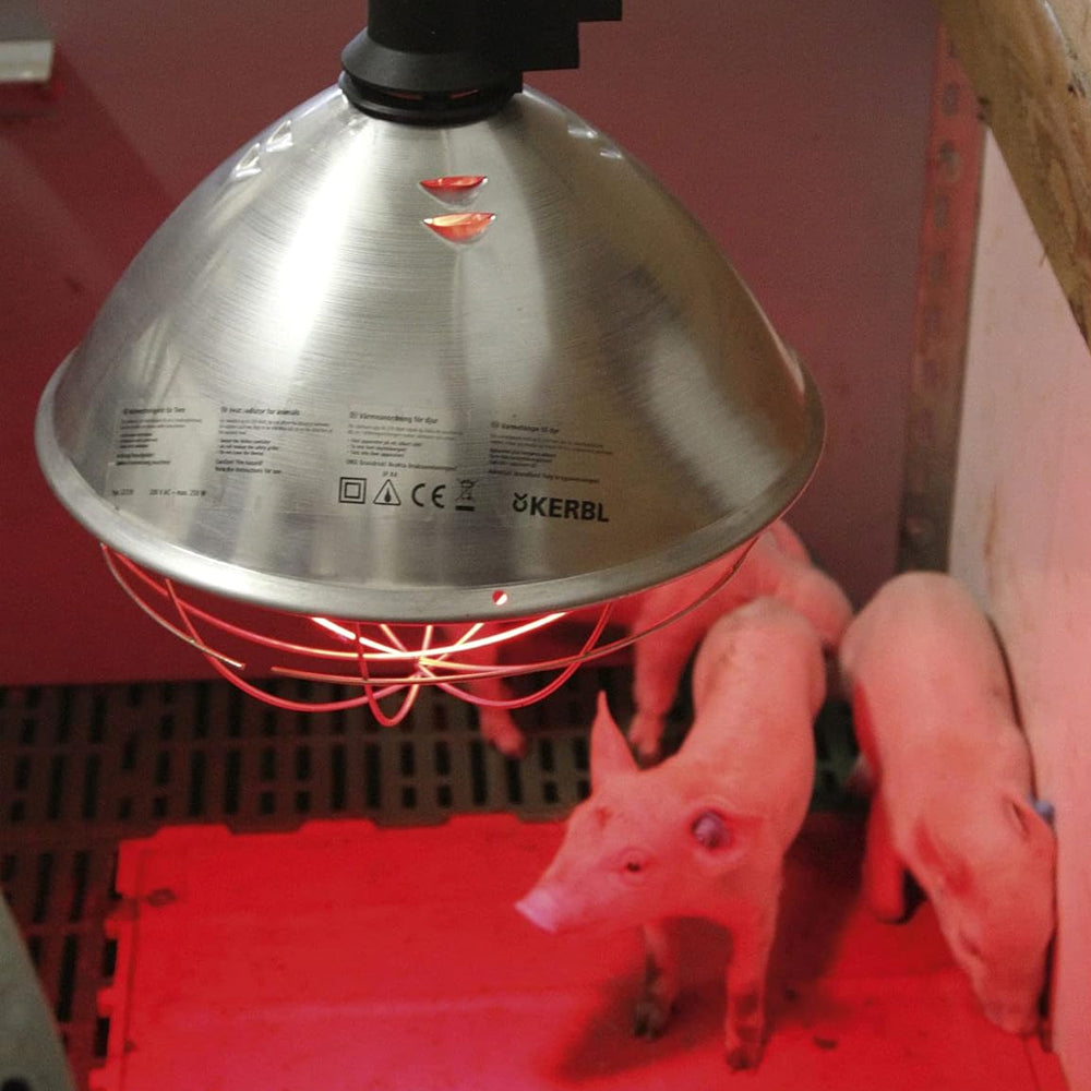 Riflettore riscaldante a raggi infrarossi per galline