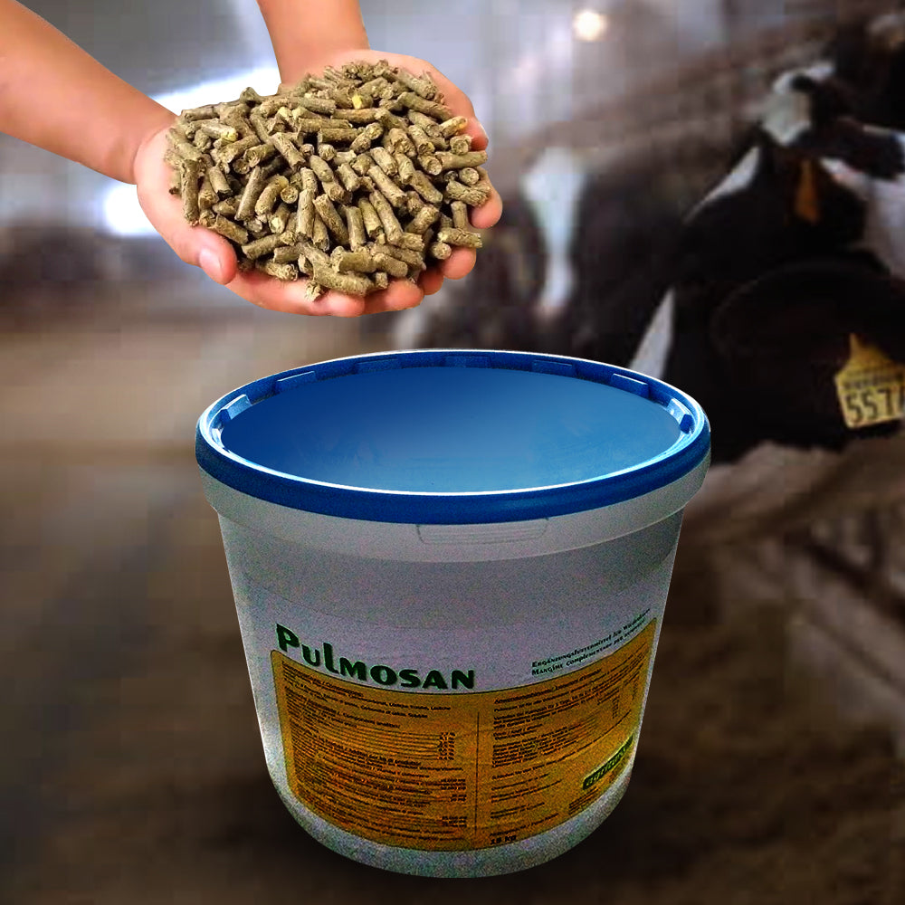 Beikircher Mangimi - Pulmosan Pellet 15Kg Con Selenio Organico, Polifenoli Antiossidanti