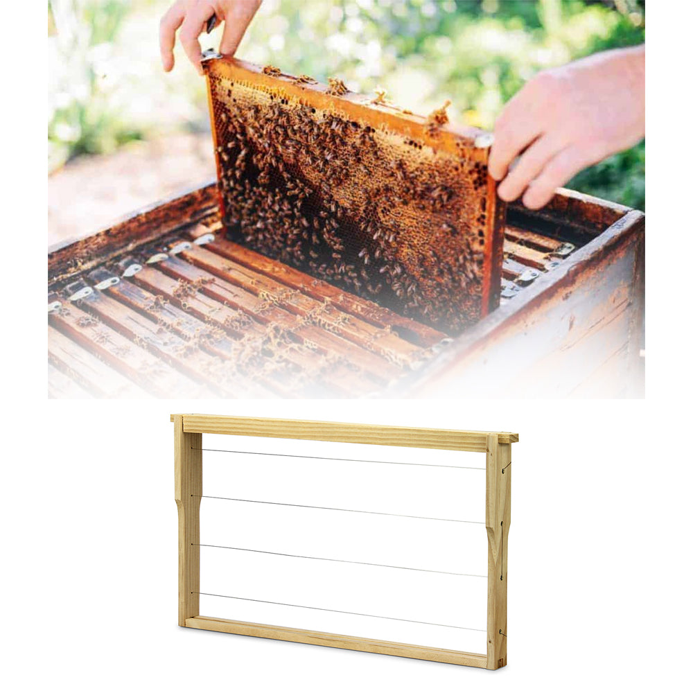 Telaio EWG® Standard 223mm Modificato, con lati Hoffmann