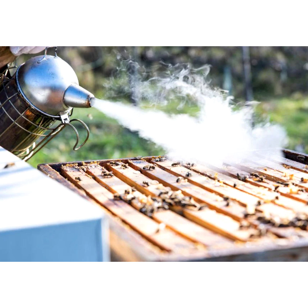 ApiTek® Piccolo Affumicatore 10cm con Griglia Protettiva