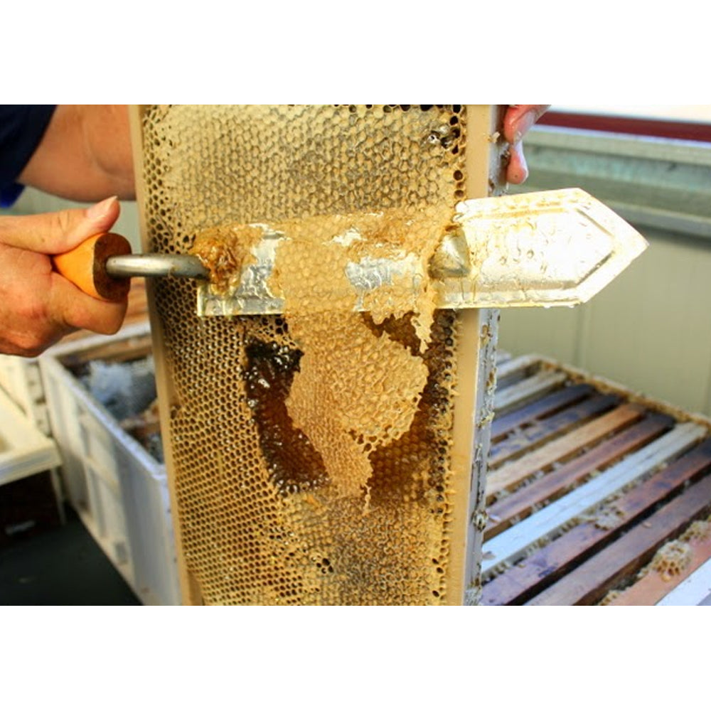 ApiNord® Disopercolatore Elettrico 480 W per Miele