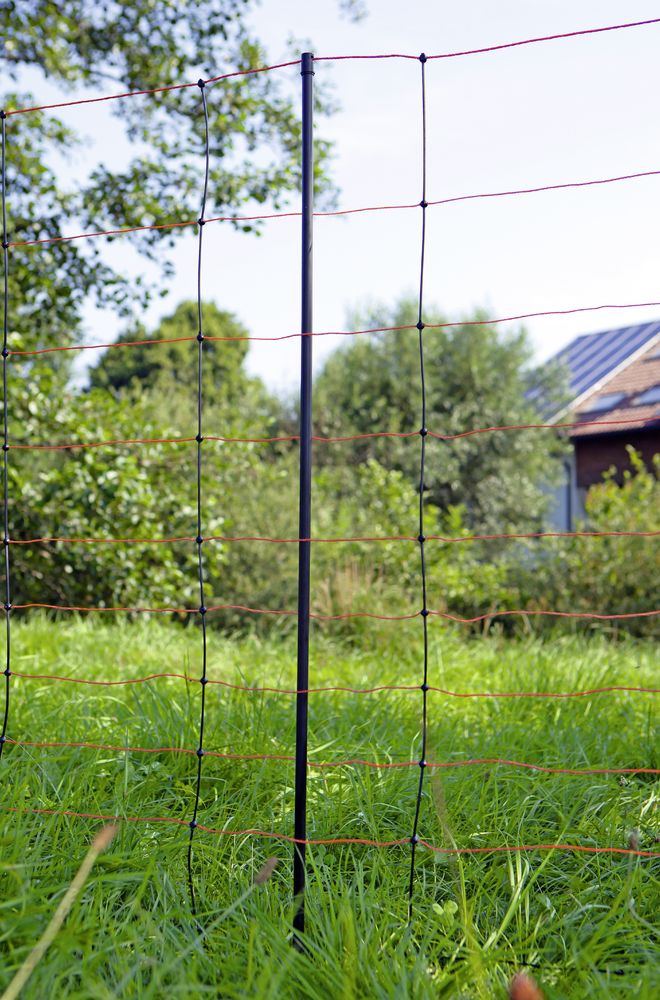 Rete Elettrica per Pecore TitanNet