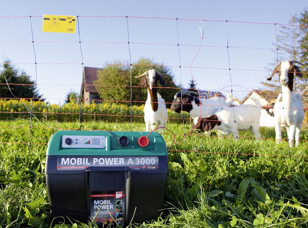 Rete Elettrica per Pecore TitanNet