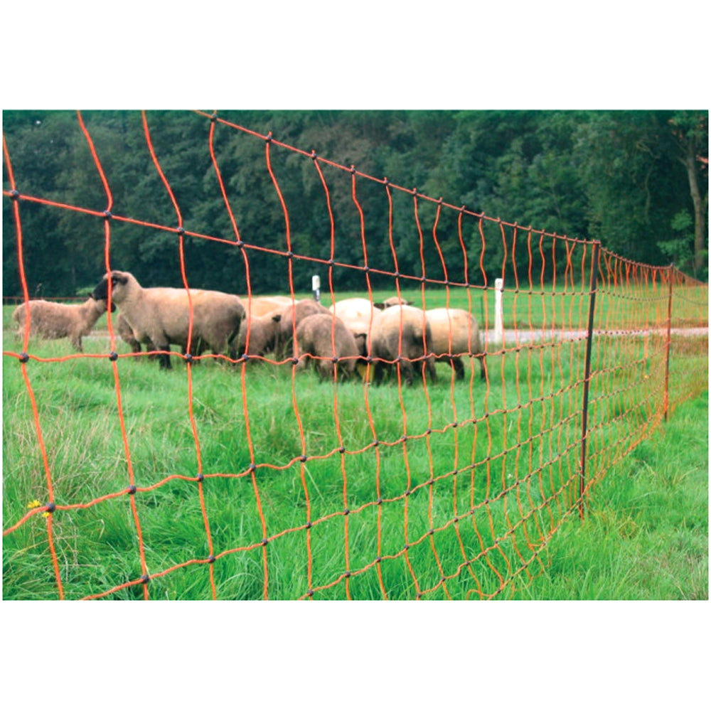 Euro netto extra alto 120/2 50m