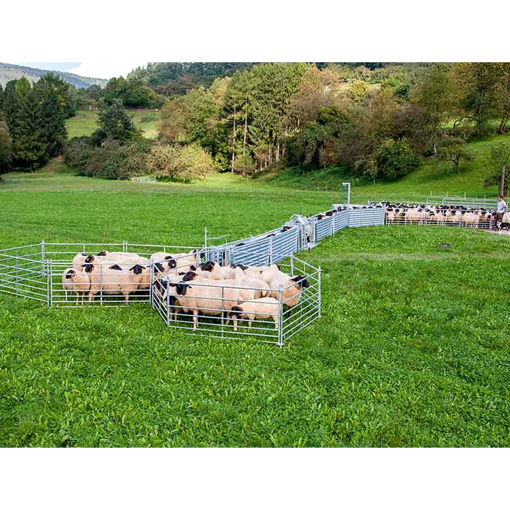 Hurdle Bleach Verkleidet