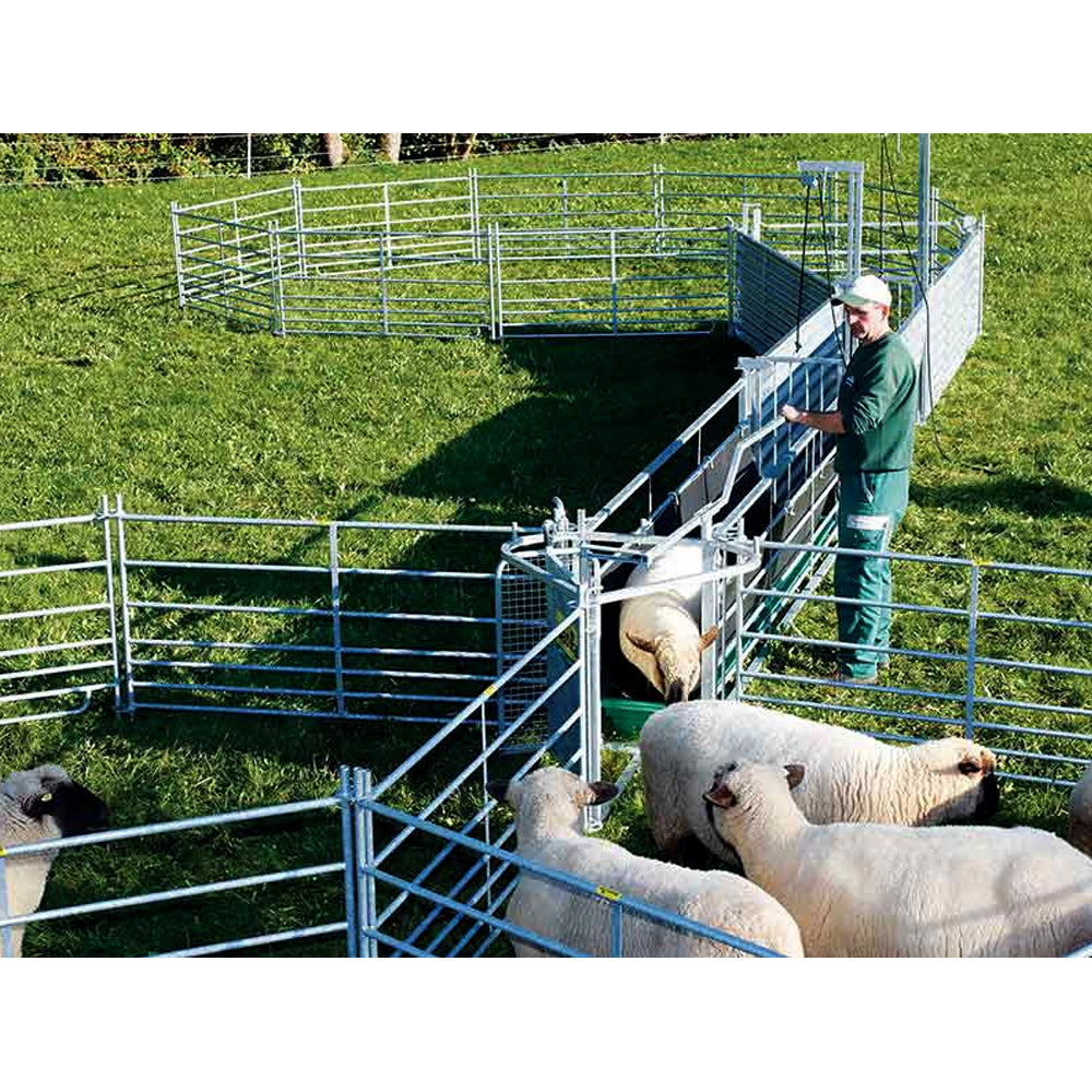 Hurdle Bleach Verkleidet