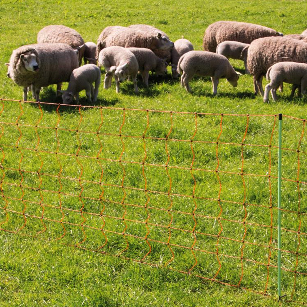 Rete Anti Lupo Jumbo 120/2