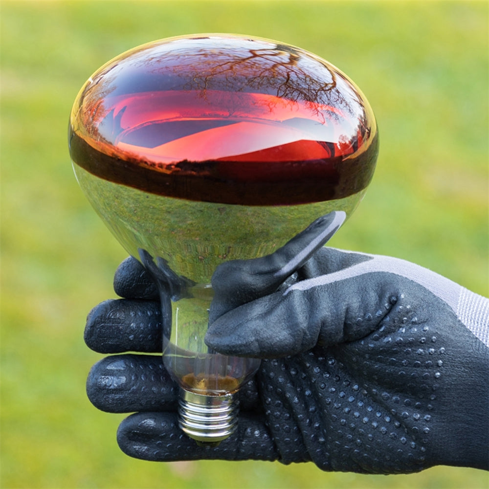 Lampada per riscaldamento pulcini