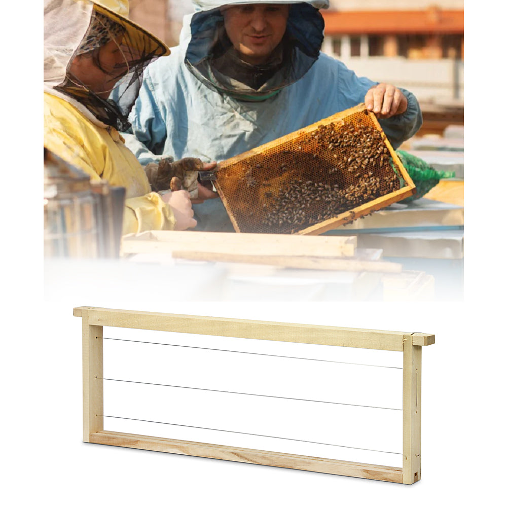 EWG® Favo con filo Dadant US / Langstroth 159mm – Lati dritti