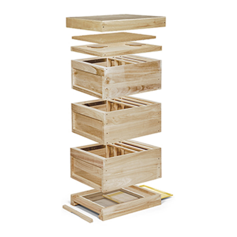 Arnia Dadant a 10 Telaini a Libro