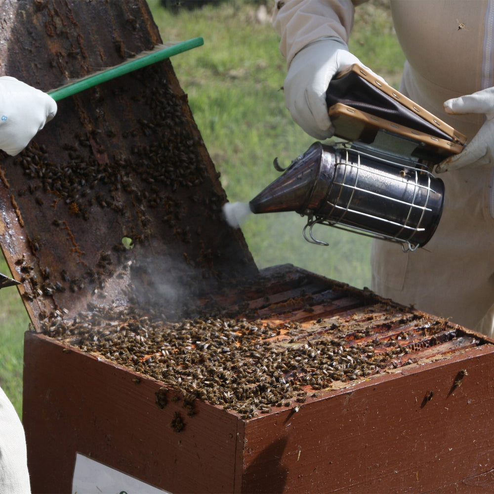 ApiSmoker® USA 10cm Inox