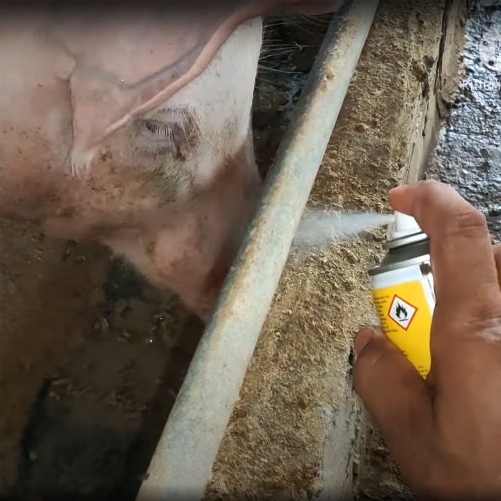 Spray per verri Boarmate 80 ml