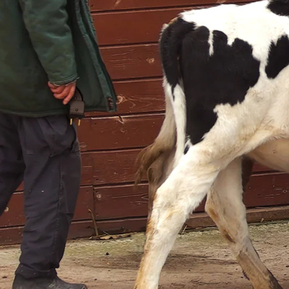 Pungolo Elettrico Magia Shock Handy