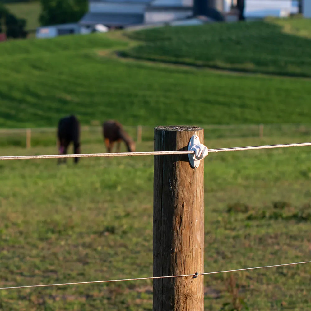 Isolatore Permanente per Recinzione 25 Pezzi