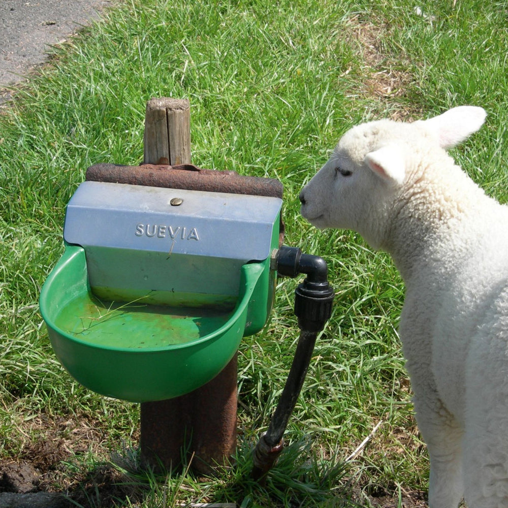 Tappo di scarico, completo (vite, dado, guarnizione)