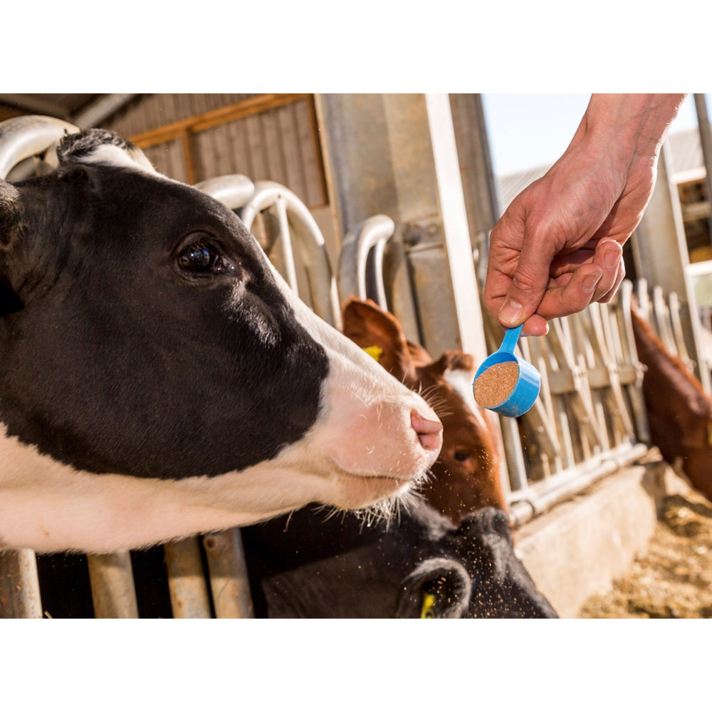 Mangime complementare FOS Trycop 3,5kg