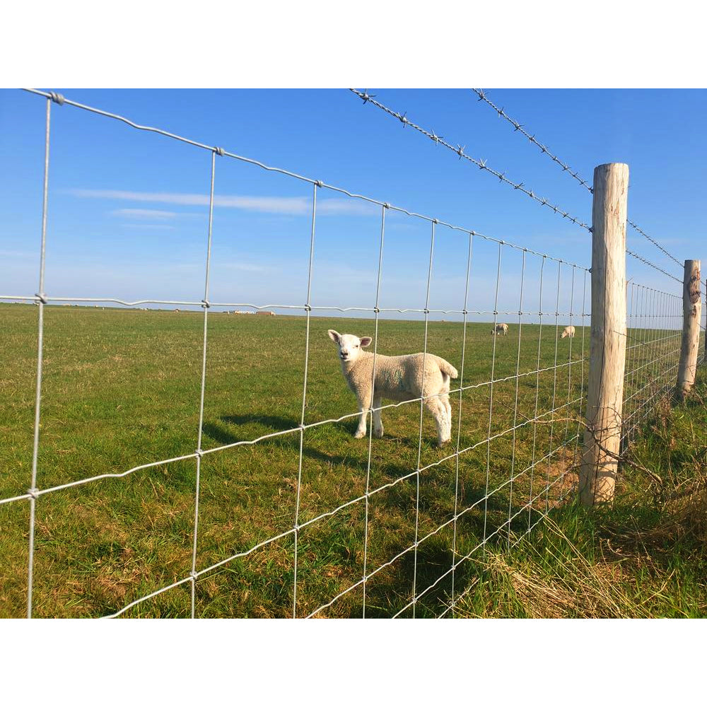 Filo in acciaio inox