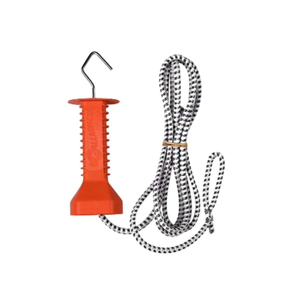 Set Cancello Corda Elastica 6m per Recinti