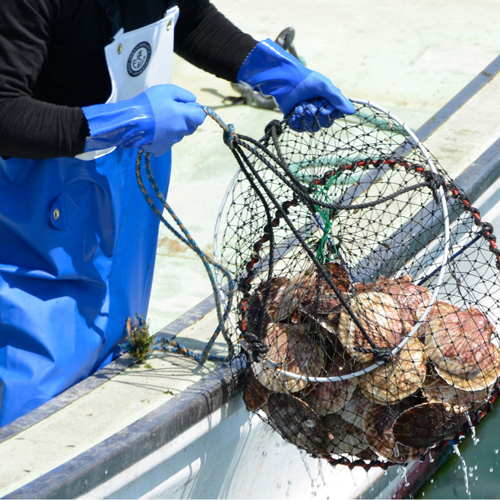 guanti pvc oil resistant 650