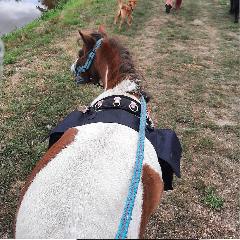 Piccola Sacca da Appoggiare Sulla Sella con Borsa Laterale Doppia per cavalli