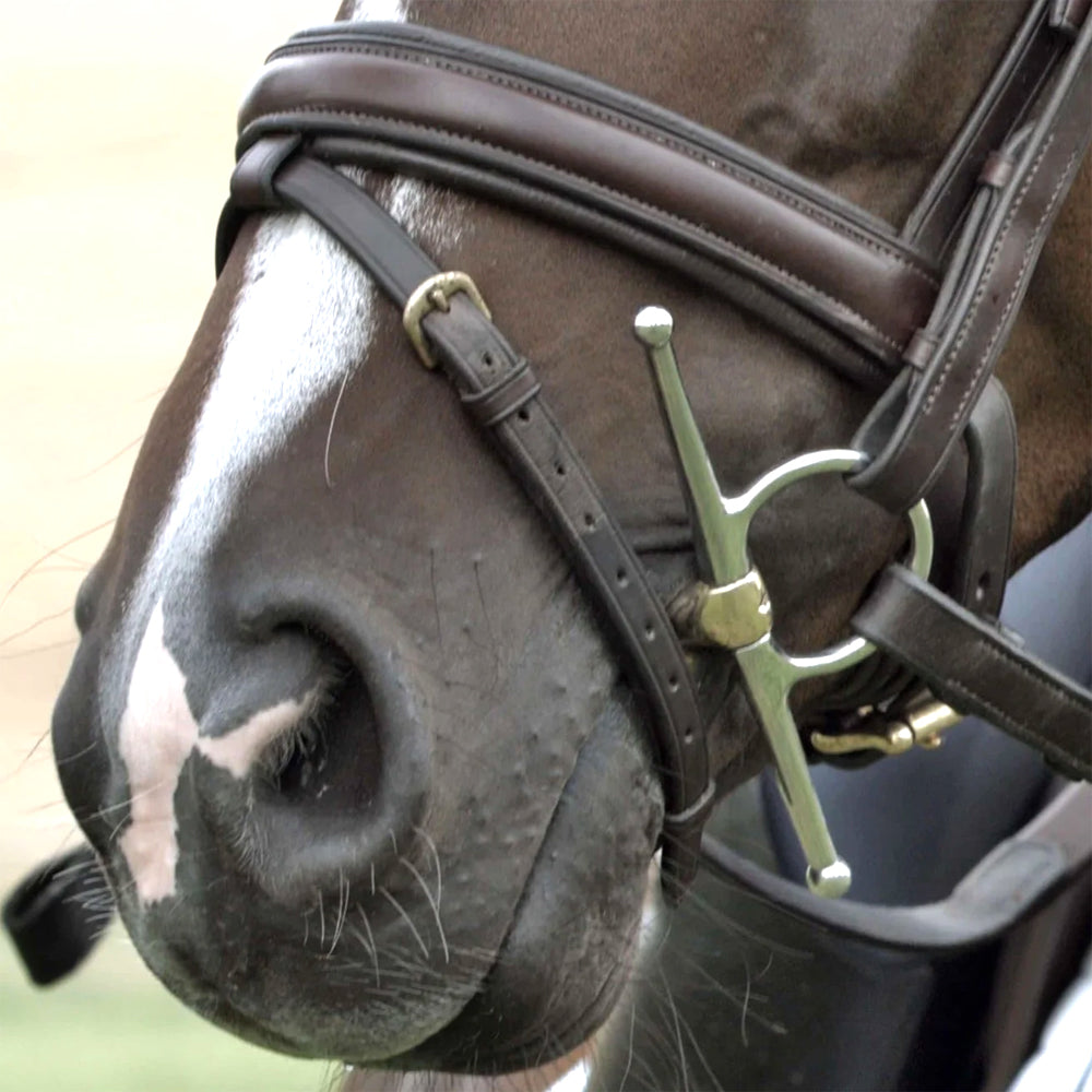 rete a barre snodo doppio