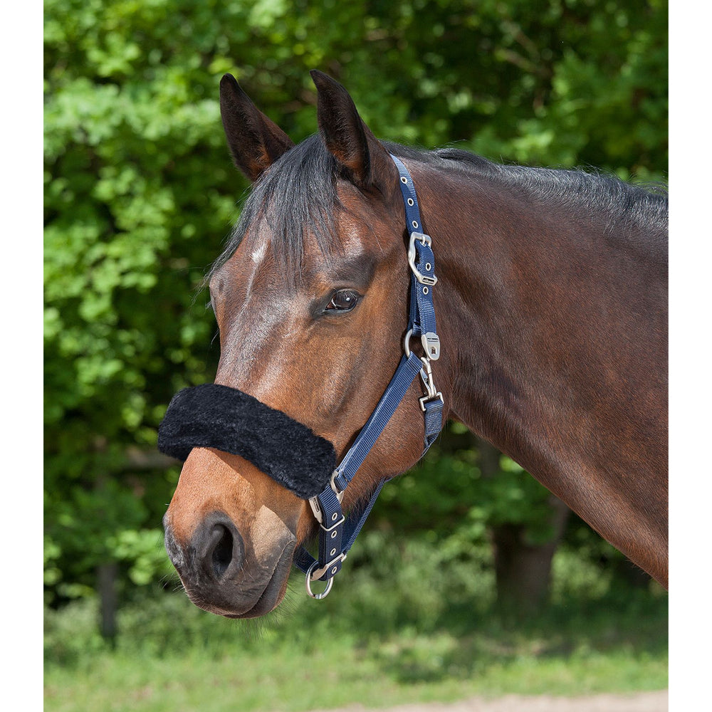 Protezione Cintura In Pelle Di Agnello Naturale 80 C
