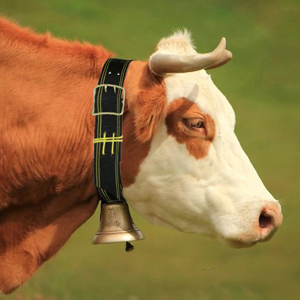 Collari per campana con fibbia a doppio ardiglione