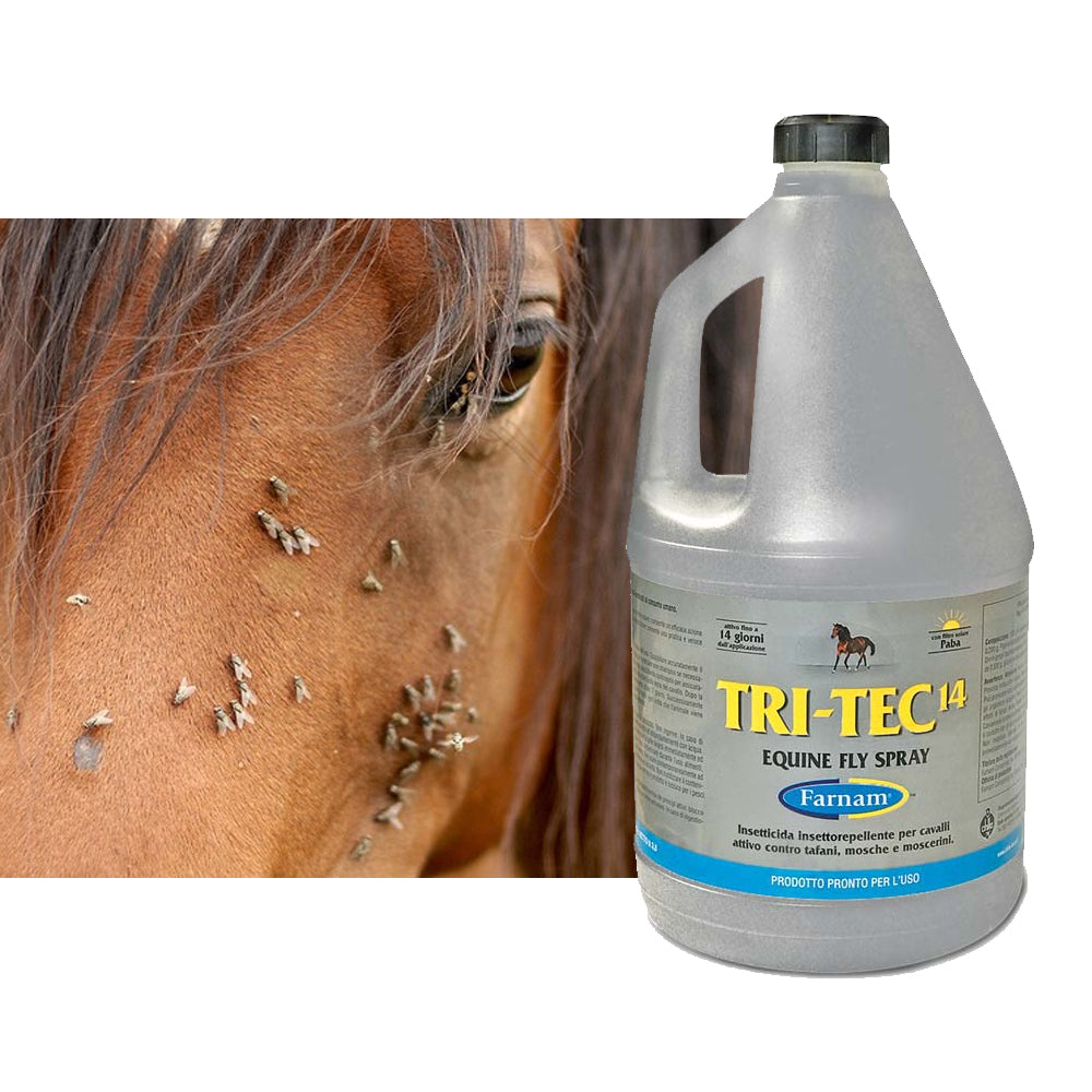 Repellente per cavalli