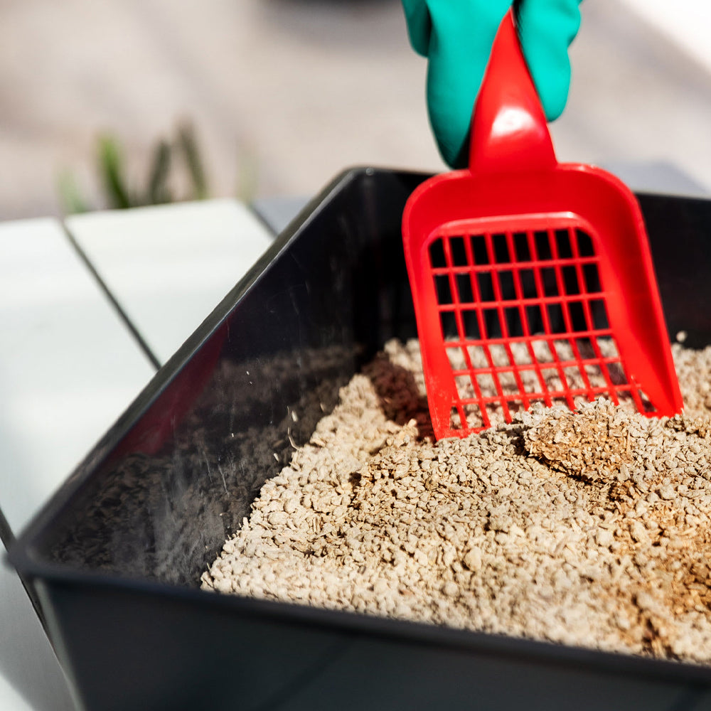 Graincat Lettiera Naturale Gatti Naturliches Katzenstreu - Biodegradabile 12L