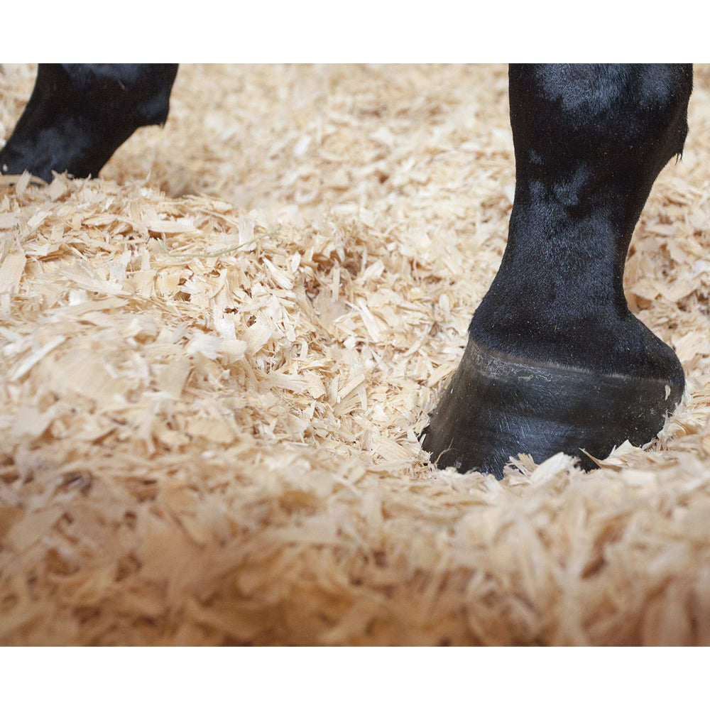 Allspan German Horse con comfort e sicurezza senza polvere