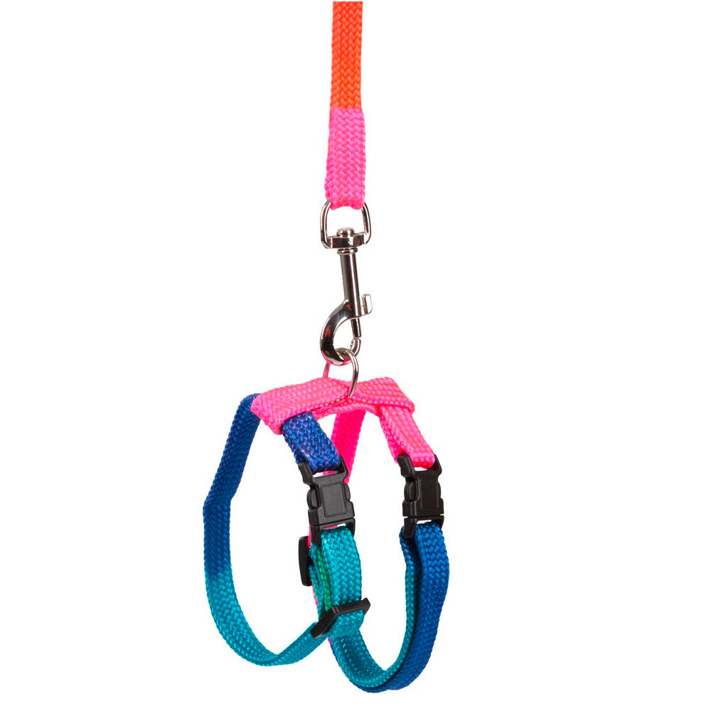 bardatura animali domestici