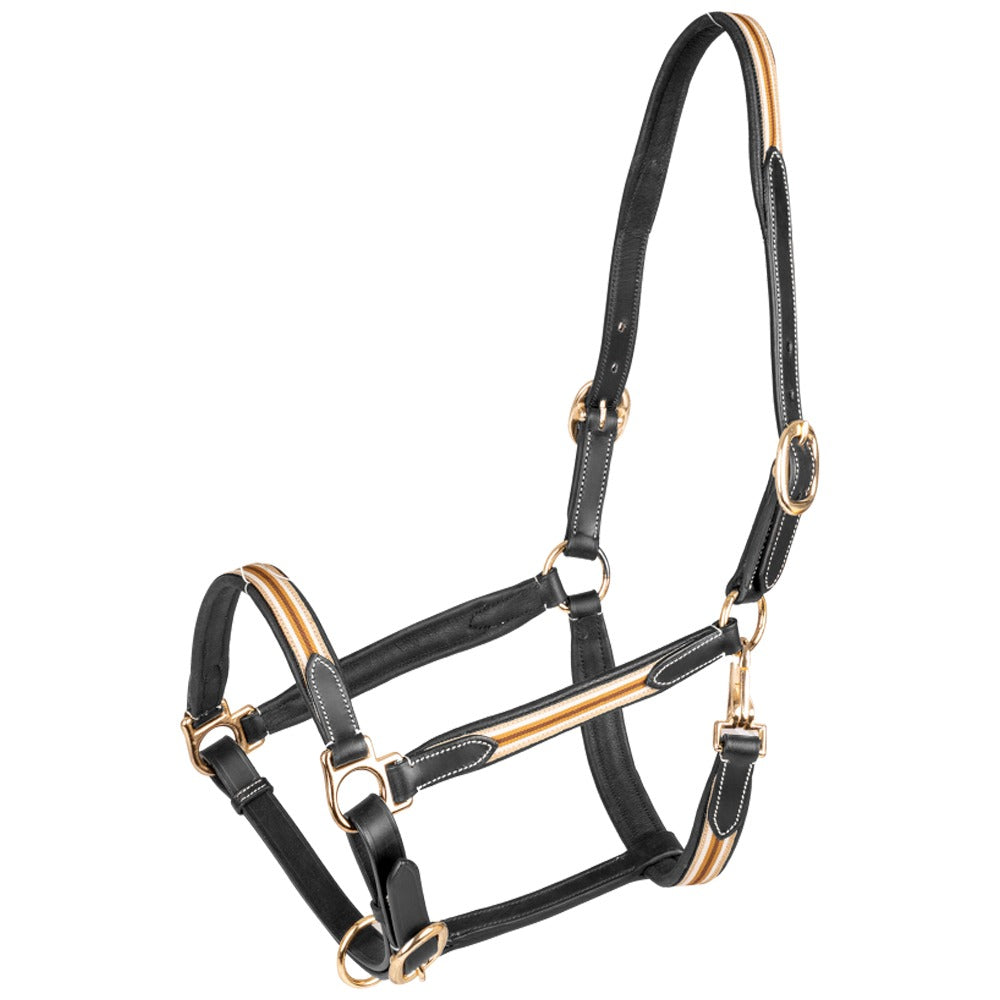 Waldhausen X-Line Oxford Leather Halter Soft Adjustable Design