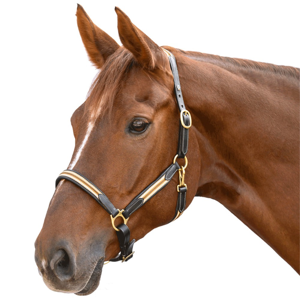 Waldhausen X-Line Oxford Leather Halter Soft Adjustable Design