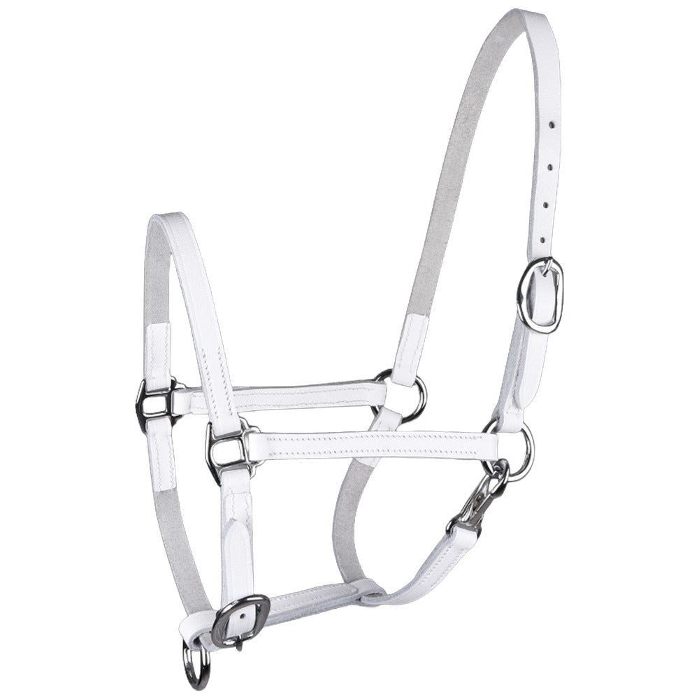 STAR Foal Leather Halter With Snap Hook For Showing Use