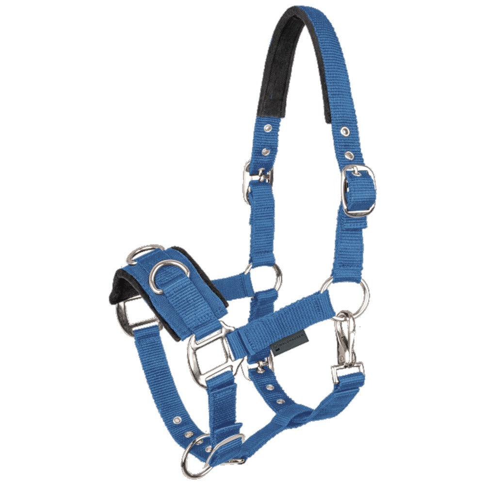 Longierhalfter Economic Nylon Gepolstert Für Pferd Training