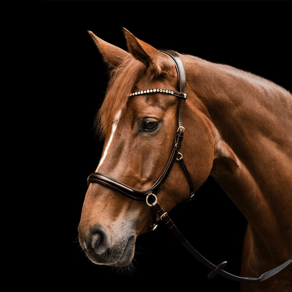 Waldhausen X-Line Sensation Bitless Bridle Anatomical Horse Gear