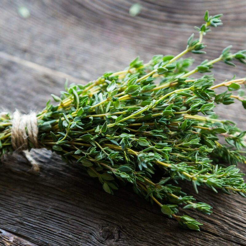 Natusat Thymian Sirup 1 Liter