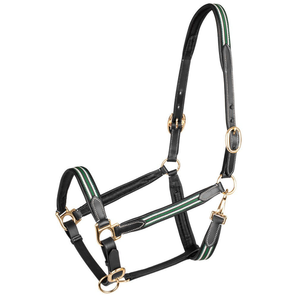 Waldhausen X-Line Oxford Leather Halter Soft Adjustable Design