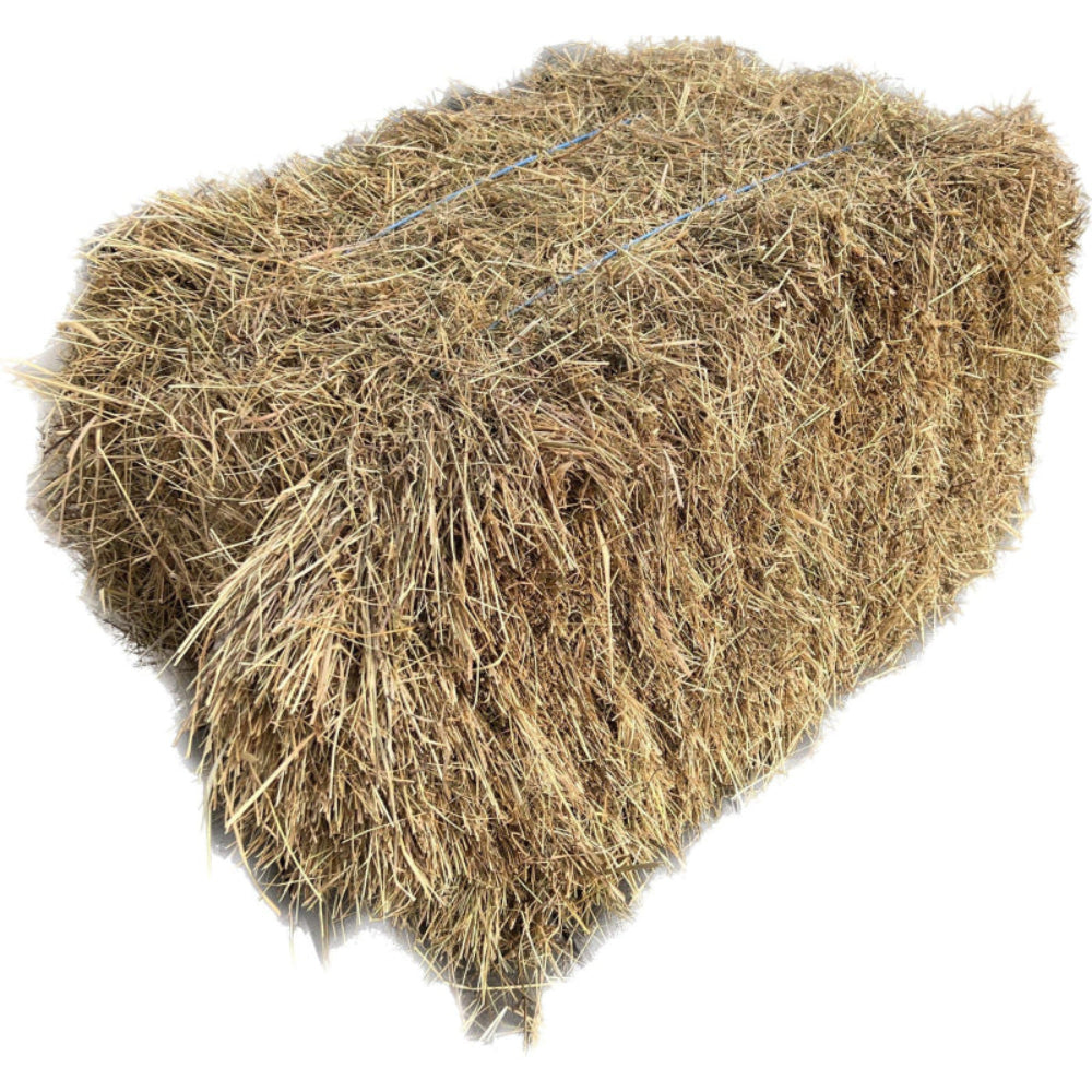 Fieno Naturale per Roditori e Conigli – 60 Erbe Senza Additivi