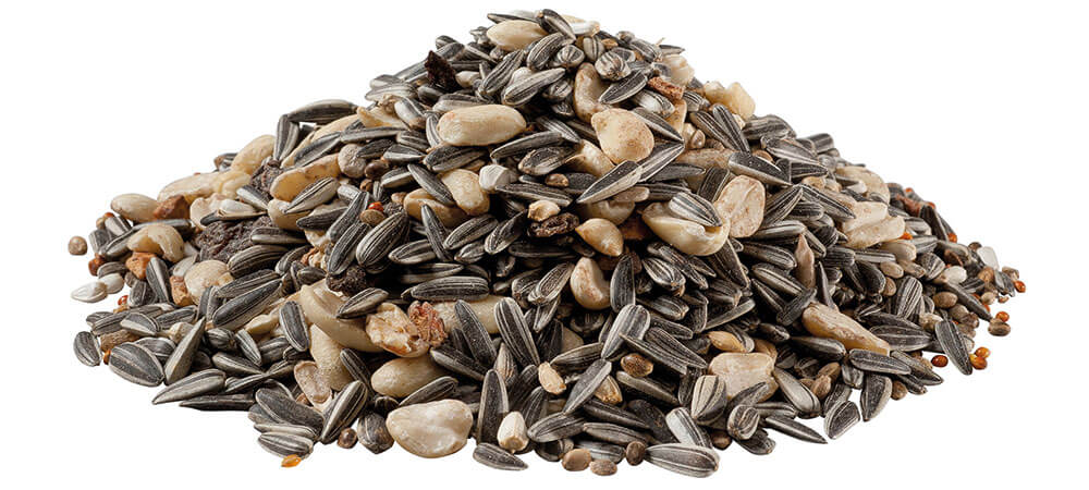 Mangime Panto Premium Streufutter Per Uccelli Selvatici 1,7kg