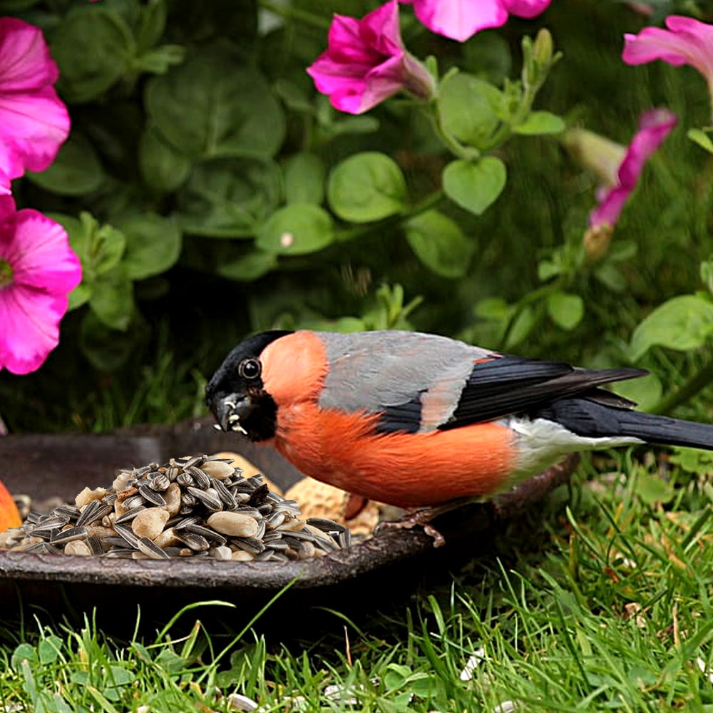 Mangime Panto Premium Streufutter Per Uccelli Selvatici 1,7kg